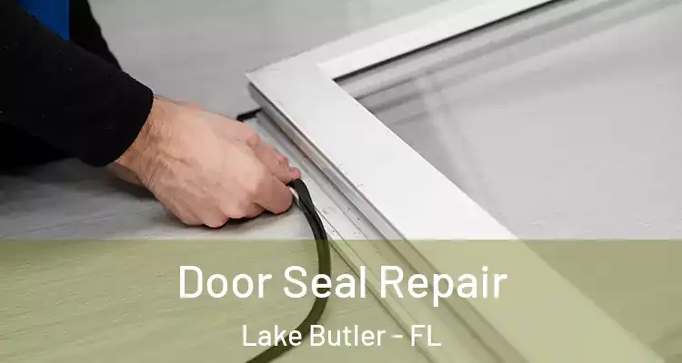  Door Seal Repair Lake Butler - FL