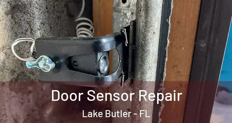  Door Sensor Repair Lake Butler - FL
