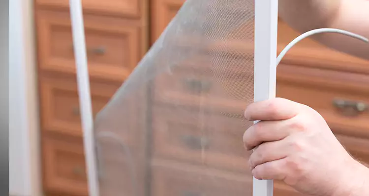 Privacy Mesh Screen Door Installation in Lake Butler, FL