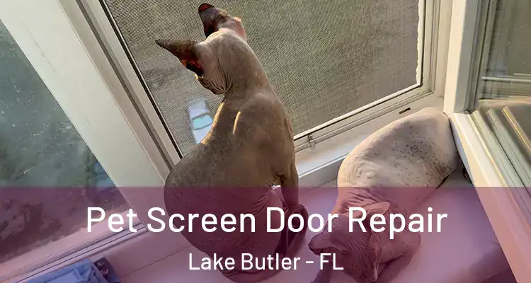  Pet Screen Door Repair Lake Butler - FL